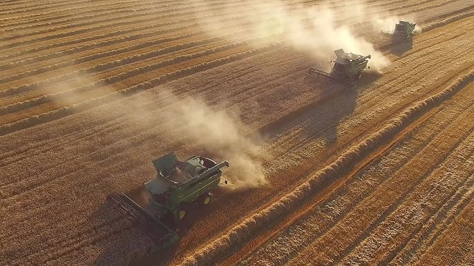 Montana’s Craft Malt: Tradition Meets Innovation