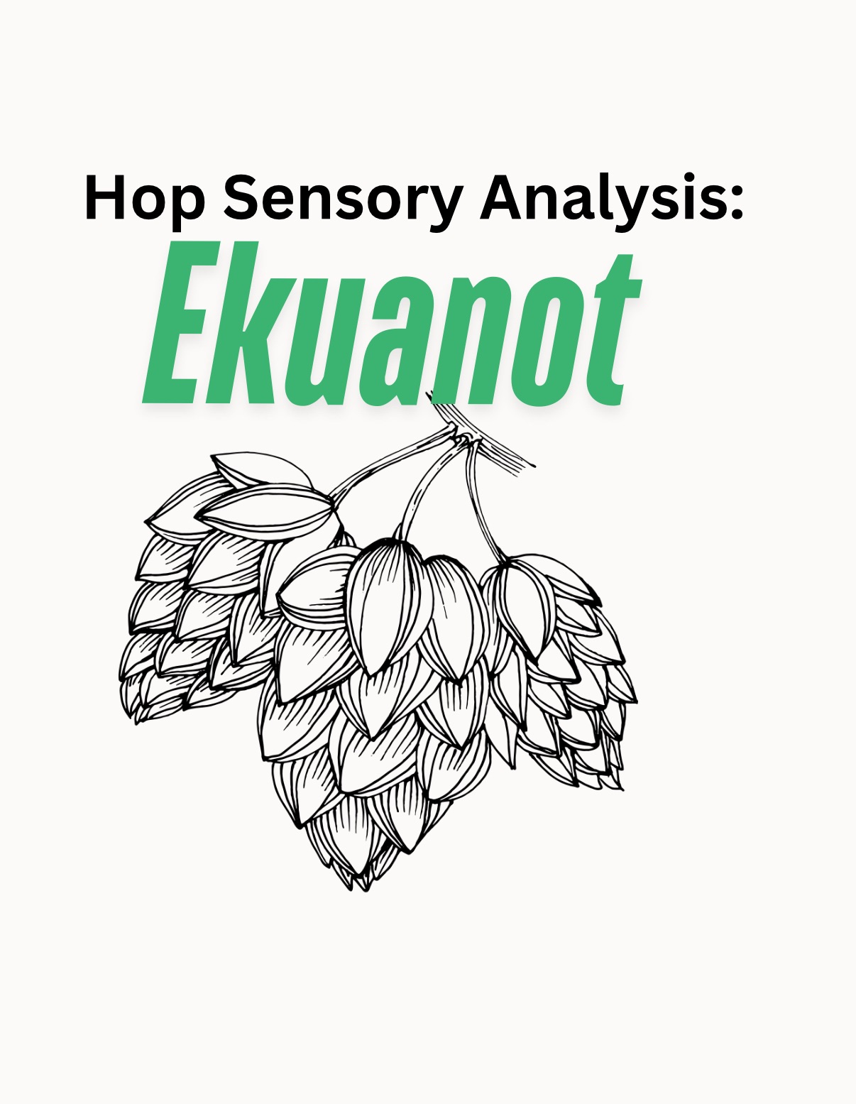 Ekuanot| Hop Sensory Analysis With Oil Creek Brewing