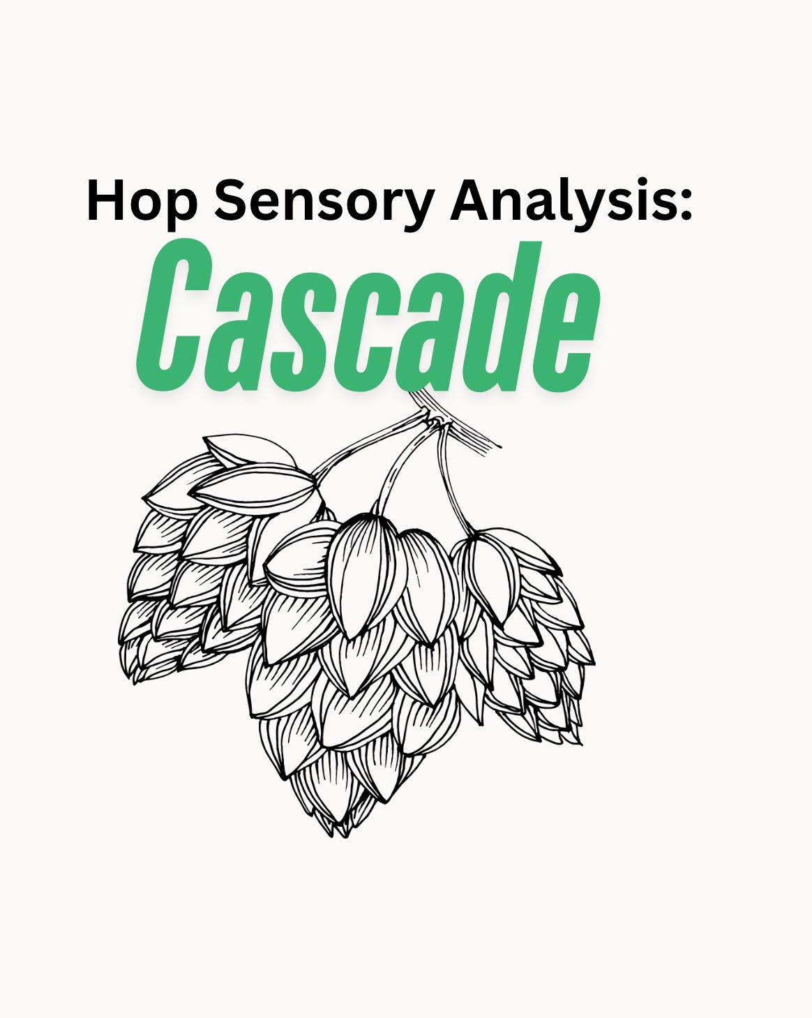 Cascade| Hop Sensory Analysis With Oil Creek Brewing
