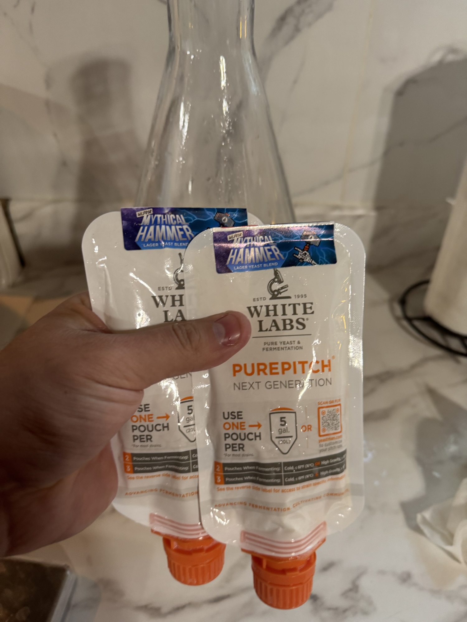 Fermenting Strength: Brewing a Helles Bock with WLP808!