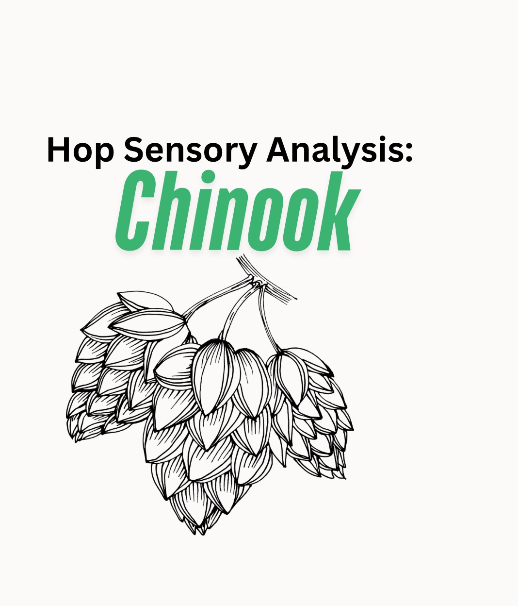 Chinook | Hop Sensory Analysis With Oil Creek Brewing