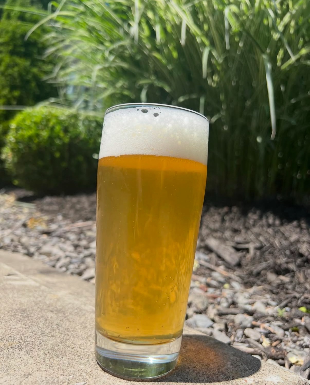 West Coast Cream Ale with Oil Creek Brewing Co.
