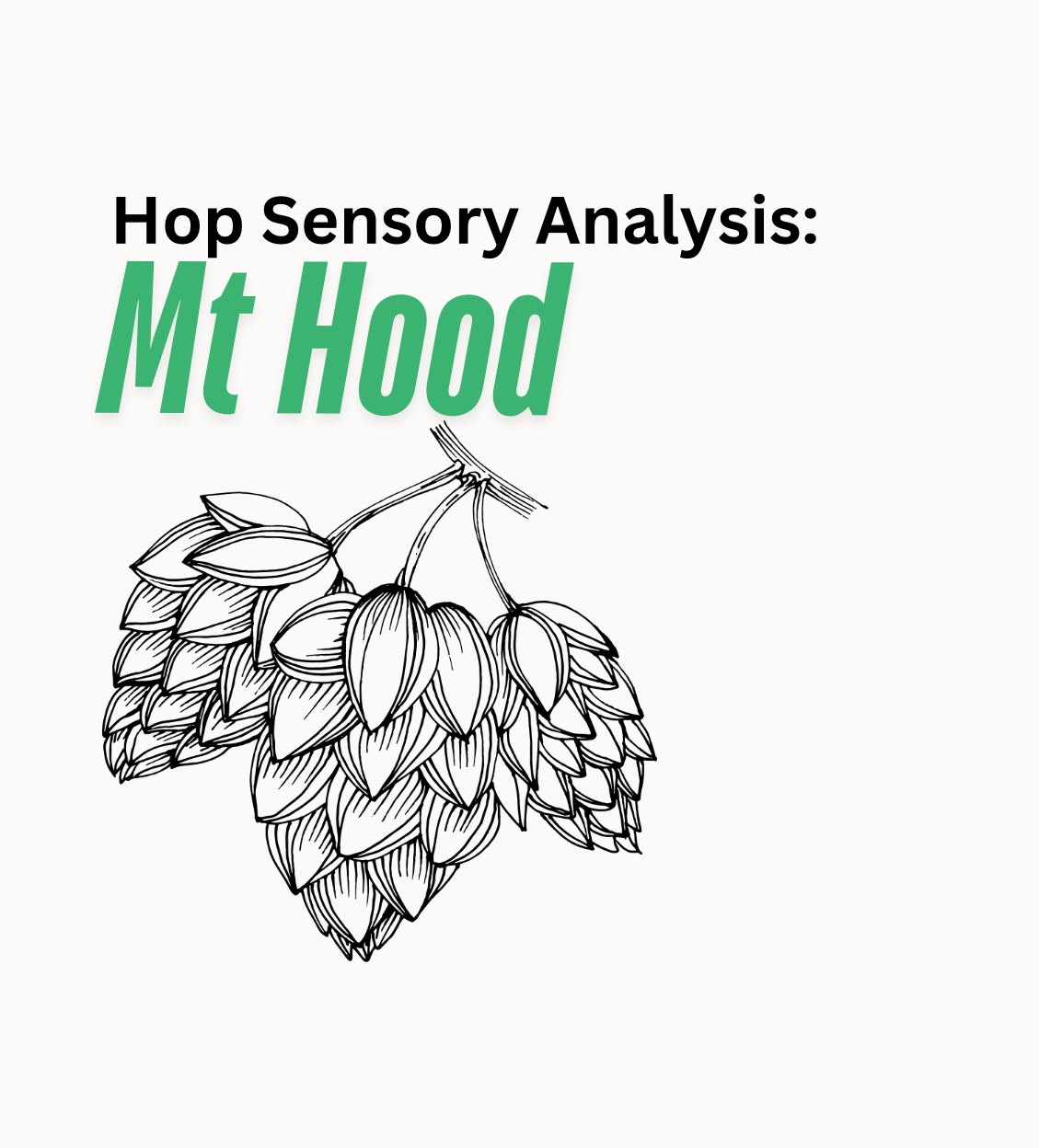 Mt Hood| Hop Sensory Analysis With Oil Creek Brewing