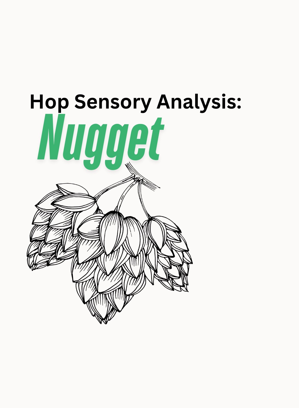Nugget| Hop Sensory Analysis With Oil Creek Brewing