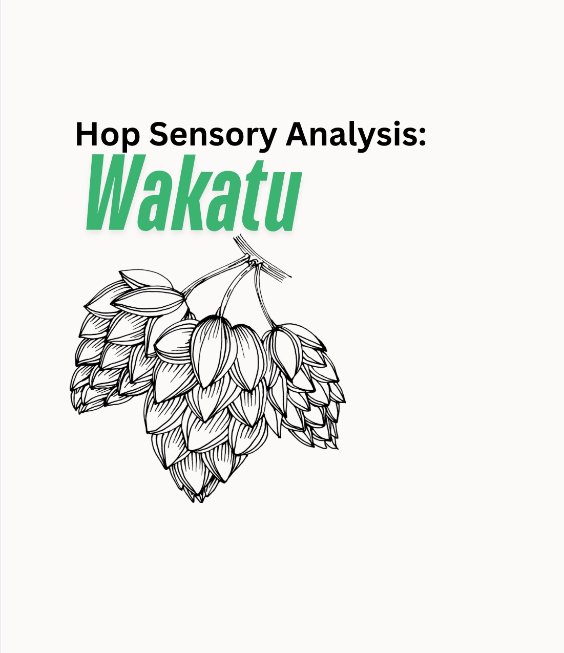 Wakatu | Hop Sensory Analysis With Oil Creek Brewing