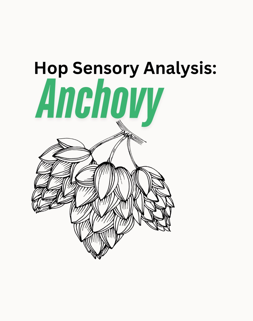 Anchovy | Hop Sensory Analysis With Oil Creek Brewing