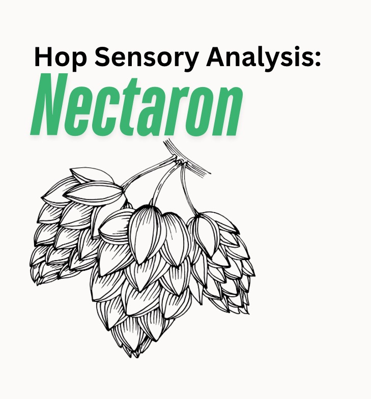Nectaron| Hop Sensory Analysis With Oil Creek Brewing