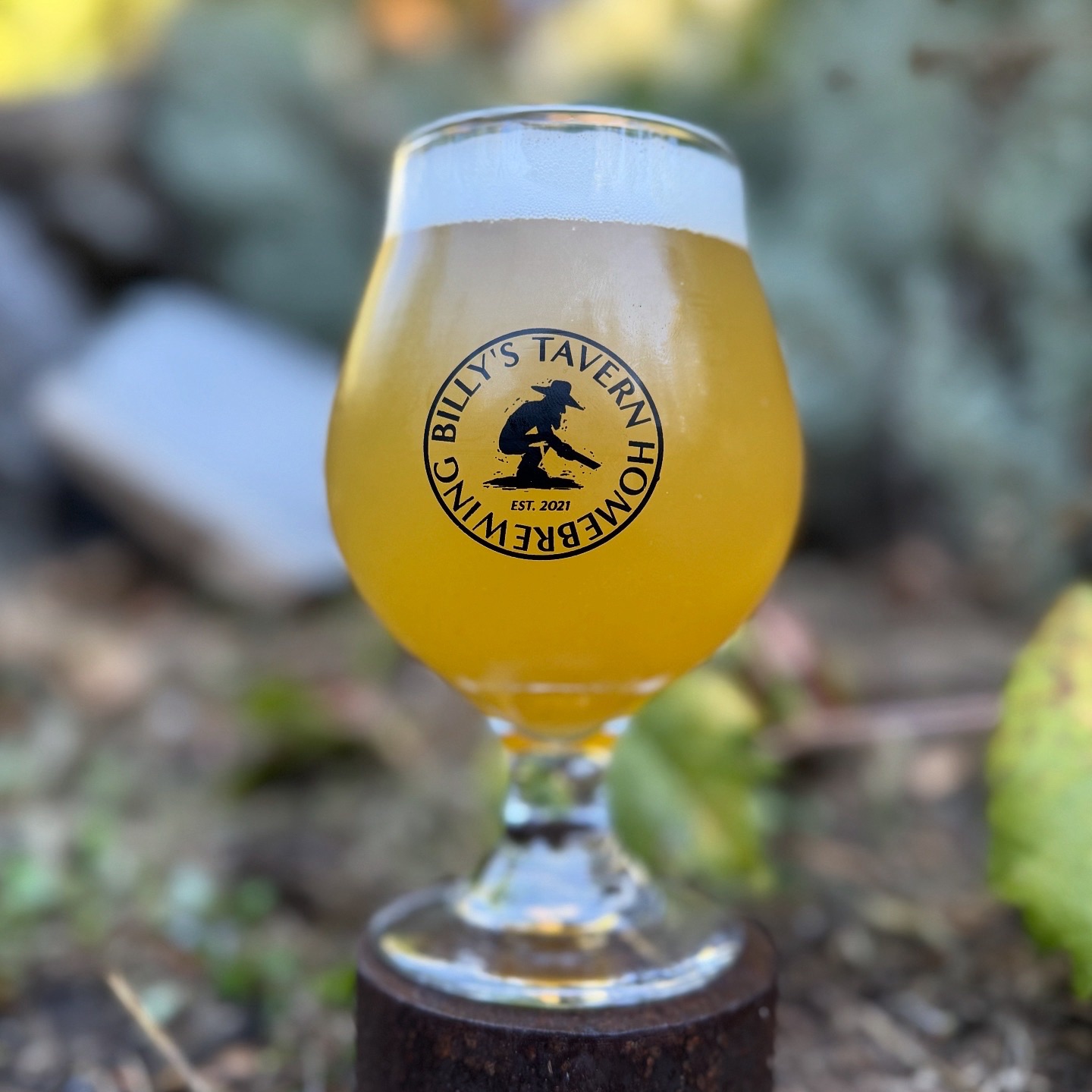 Brewing a New Zealand Style Cold IPA with Billy’s Tavern