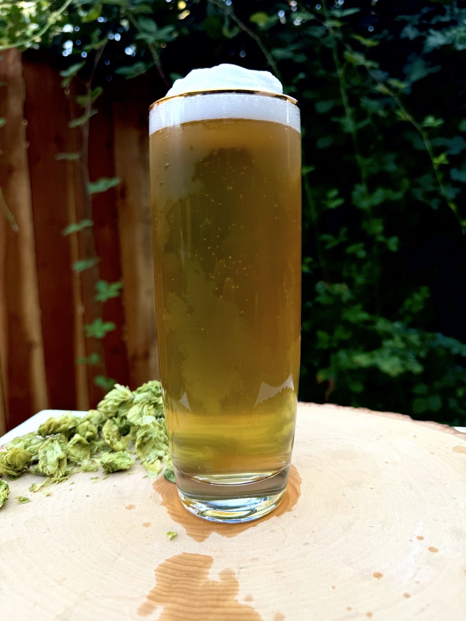 Crafting an Organic American Lager: A Sustainable Approach That Paid Off with Billy’s Tavern