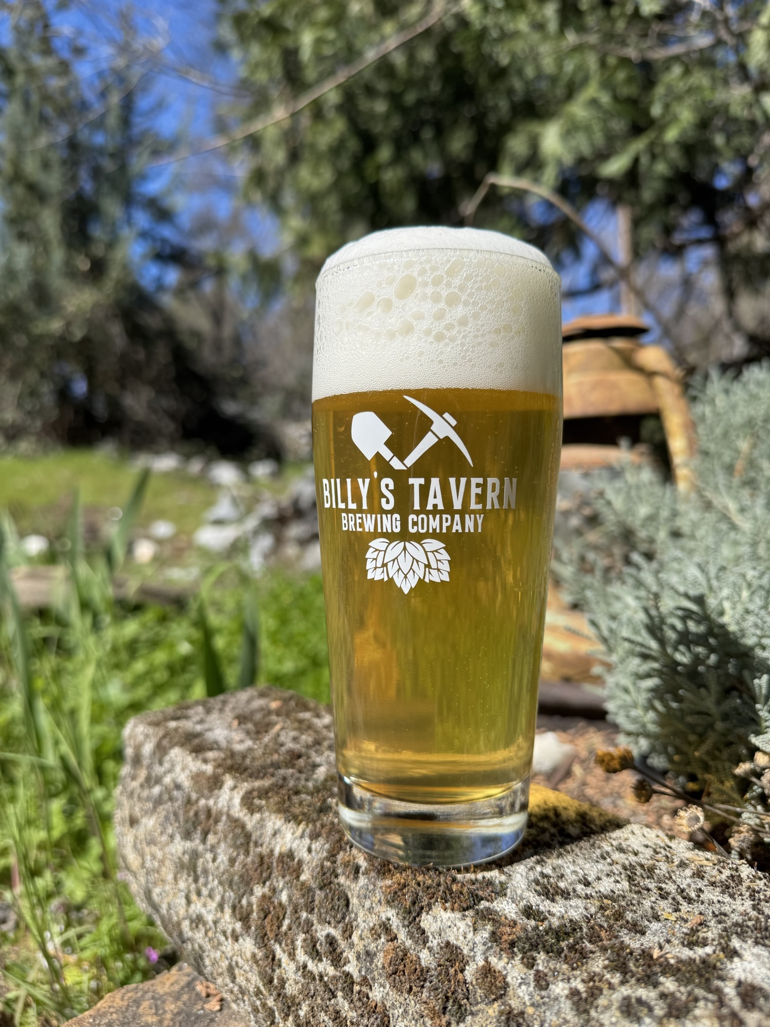 An Award Winning French Pilsner Recipe Perfect For Spring by Billy’s Tavern